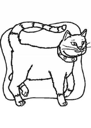 Кот ученый раскраска для детей