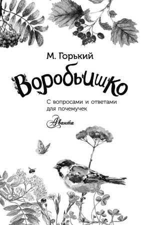 Воробьишко Горький раскраска