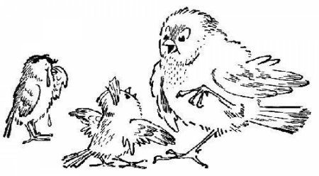 ПАУСТОВСКИЙРАСТРЁПАННЫЙ Воробей раскраска