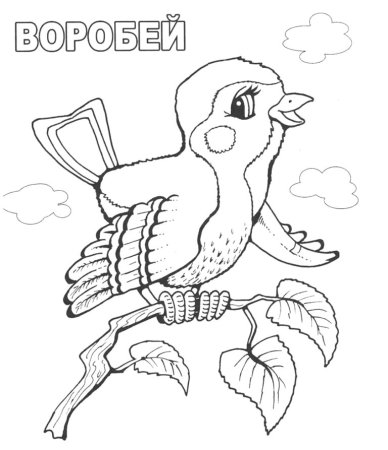 Воробей раскраска