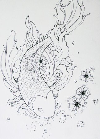 Карпы кои