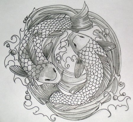 Карпы кои