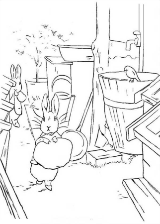 Peter Rabbit раскраска