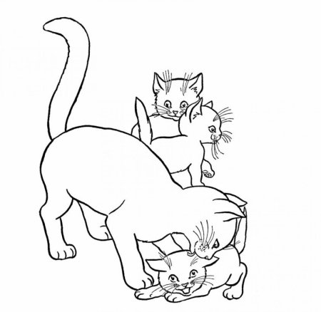 Кошки. Раскраска