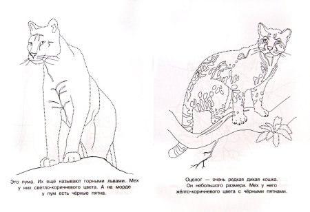 Красная книга раскраска