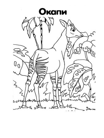 Раскраска животные красной книги Смоленской области для детей