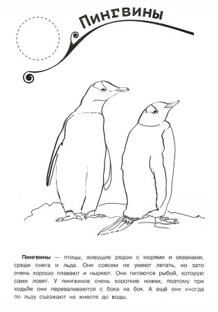 Красная книга раскраска
