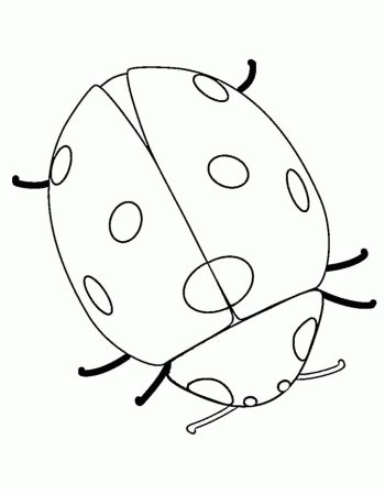 Божья коровка раскраска для детей