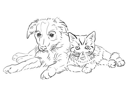 Картинки раскраски котенок и щенок (53 фото)