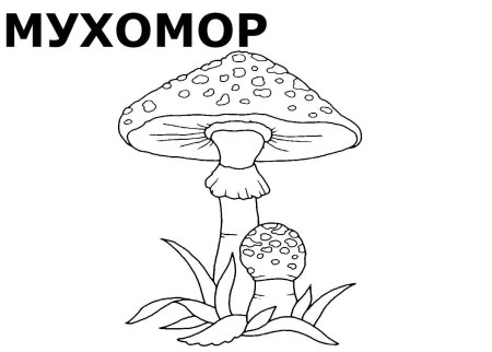 Несъедобные грибы раскраска для детей