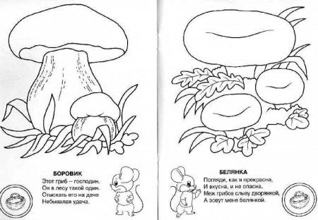 Грибы съедобные и несъедобные задания для дошкольников