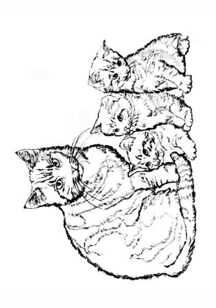 Кошки. Раскраска