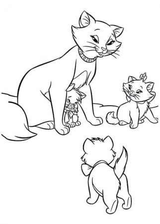 Раскраска кот