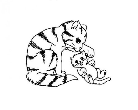 Раскраска кот