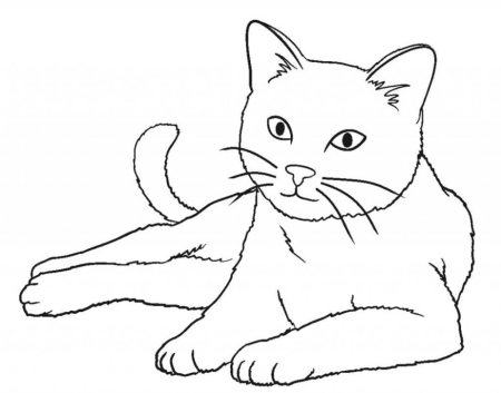Котенок. Раскраска