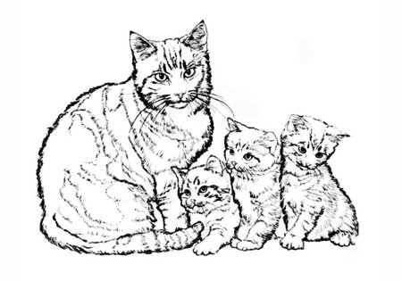 Кошка раскраска красивая