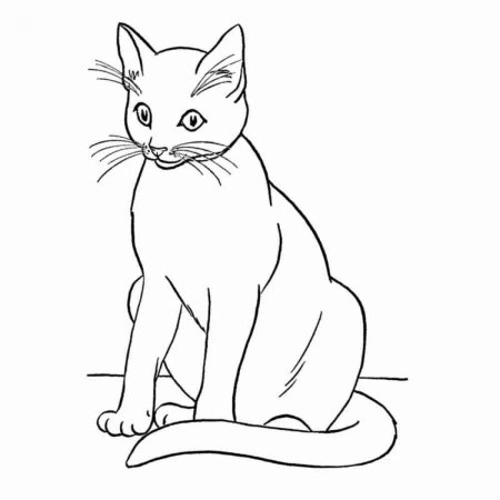 Раскраска кот кошка и котята