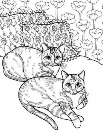Раскраски коты