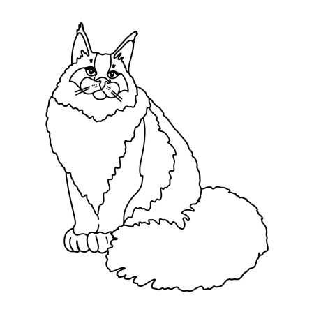 Мейн кун рисунок детский