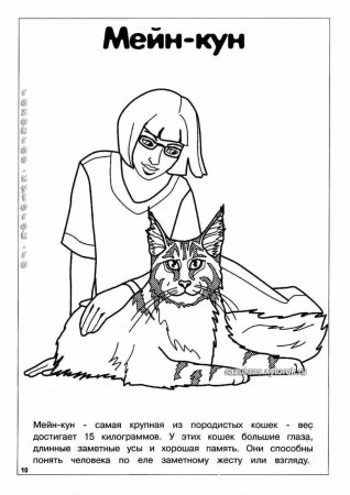 Раскраски породистых кошек