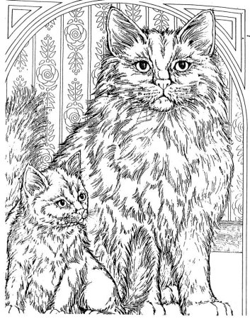 Раскраски коты красивые
