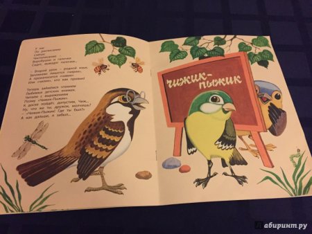 Птичья школа Борис Заходер