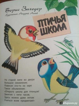 Птичья школа Борис Заходер