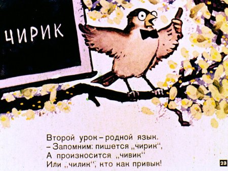 Птичья школа книга