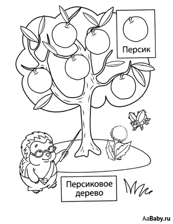 Раскраска яблоня с яблоками для детей