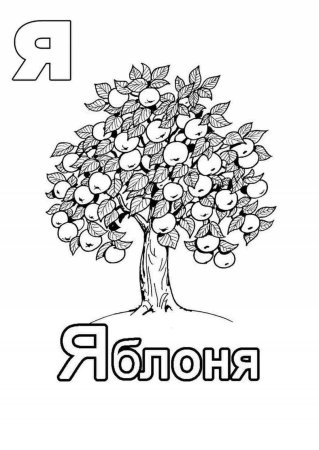 Яблоня контур дерево
