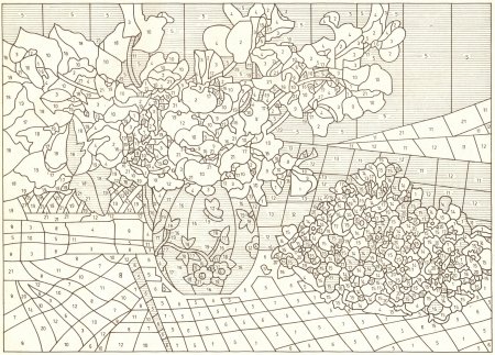 Раскраска по номерам