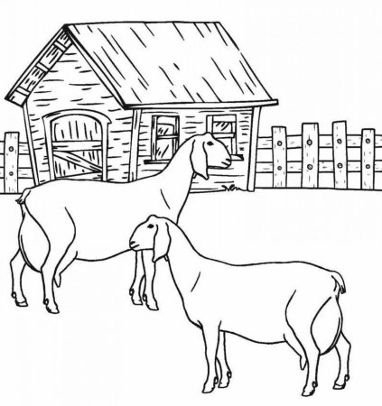 Картинки раскраски ферма с животными (54 фото)