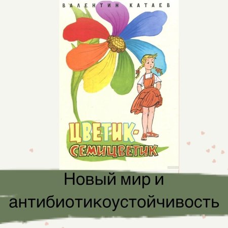 Сказка Цветик семицветик раскраска