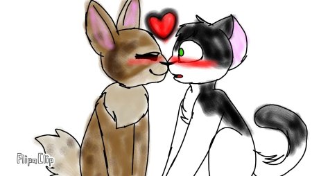 Кот малыш и кролик Баффи