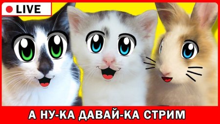 А ну-ка давай-ка
