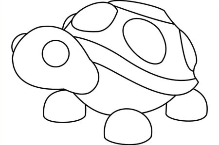 Раскраски адопми