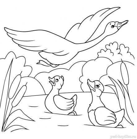 The ugly Duckling раскраска
