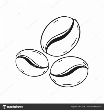 Кофейное зерно вектор