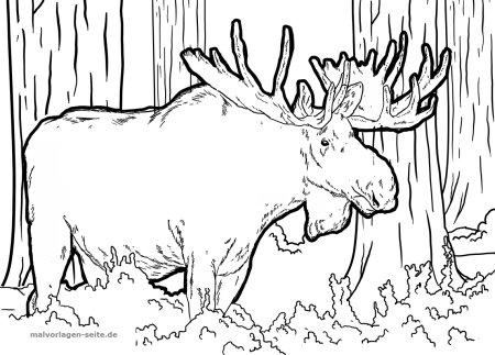 Лось зимой раскраска