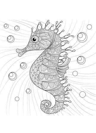 Рисование морской конек