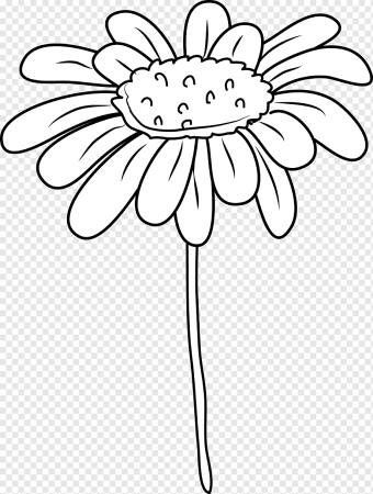 Ромашка раскраска для детей