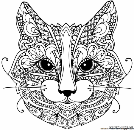 Раскраски котики сложные