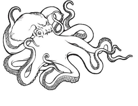 Морские монстры раскраска