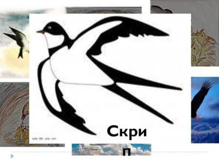 Иллюстрация к стрижонку скрипу