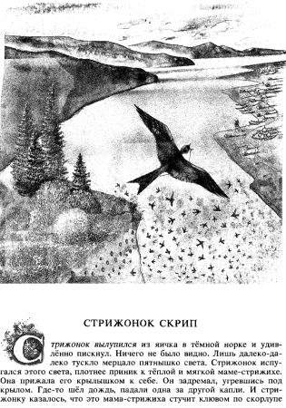 Стрижонок скрип