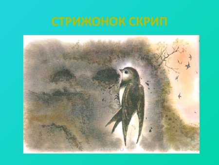 Виктор Астафьев Стрижонок скрип
