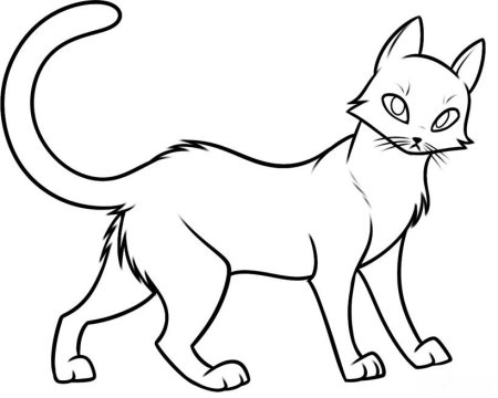 Раскраска кот