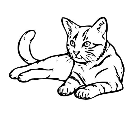 Рисунок кошки для срисовки