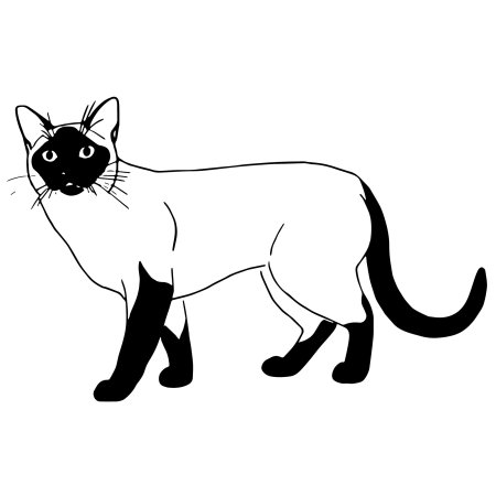 Сиамская кошка раскраска