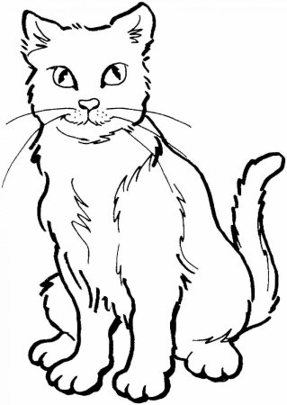 Кошка раскраска для детей